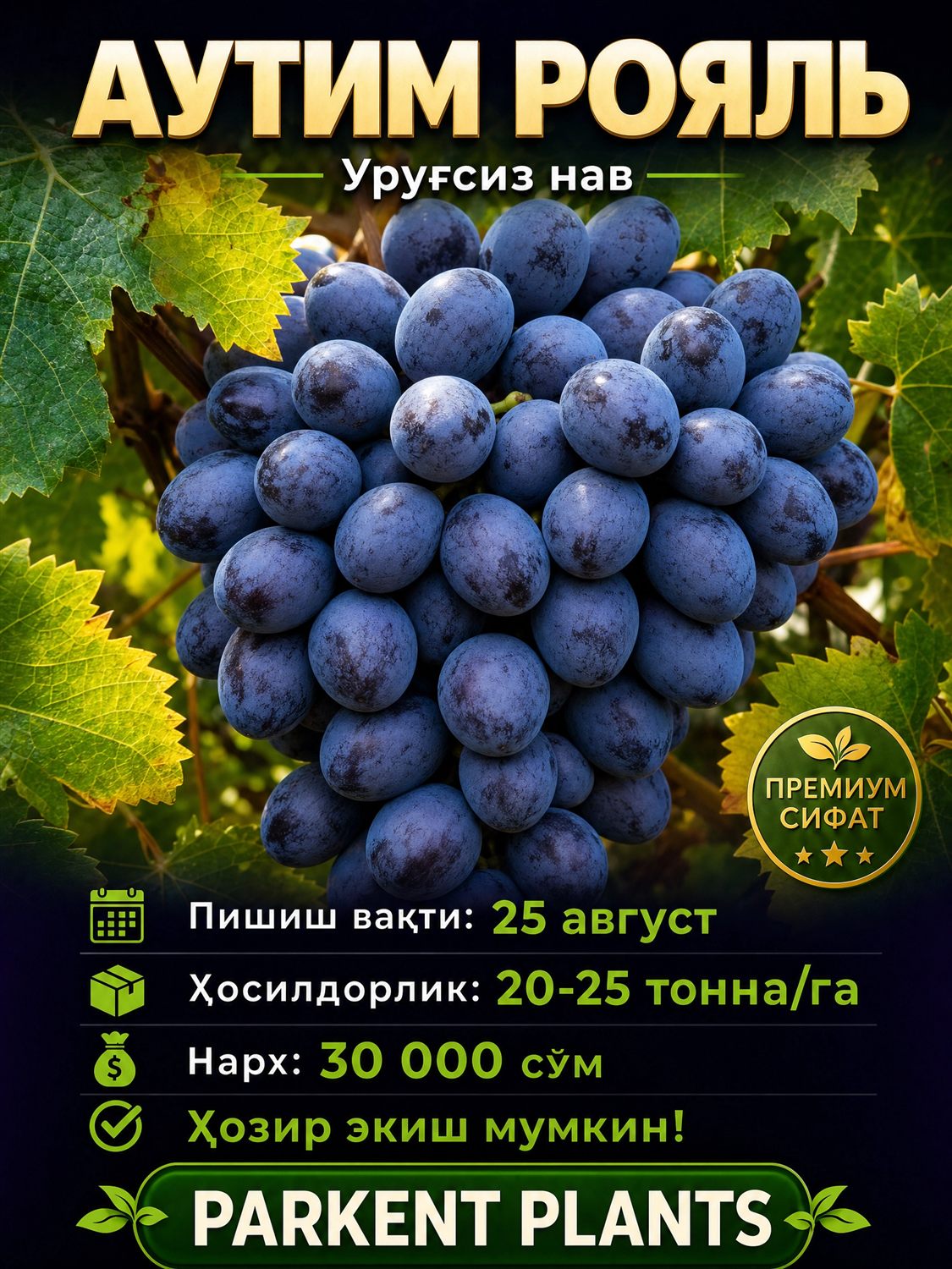 Аутим Рояль (Autumn Royal) — Urug'siz nav