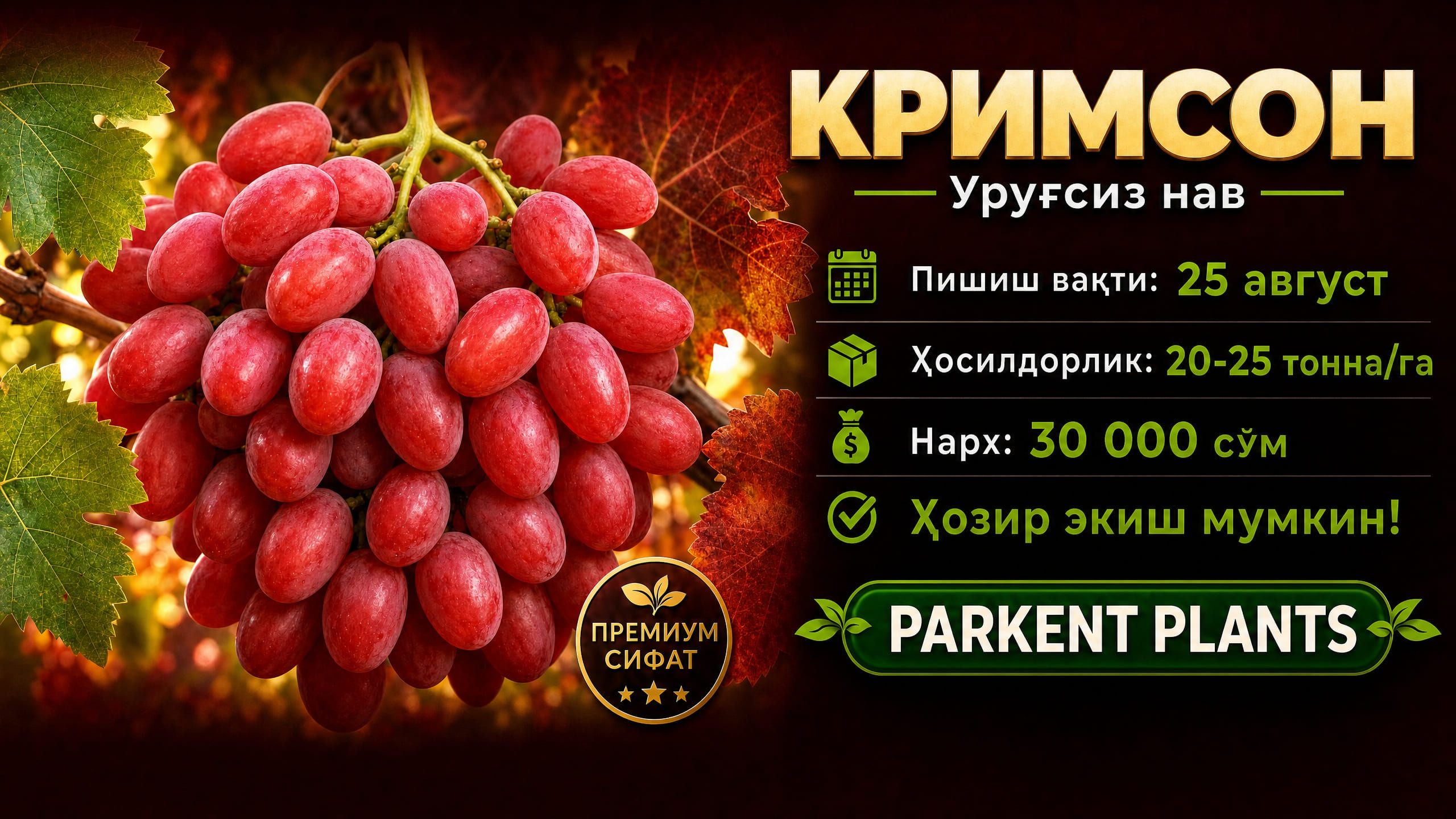 Кримсон (Crimson) — Urug'siz nav